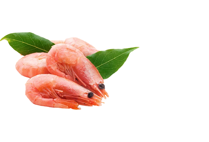 Креветки из Мурманска